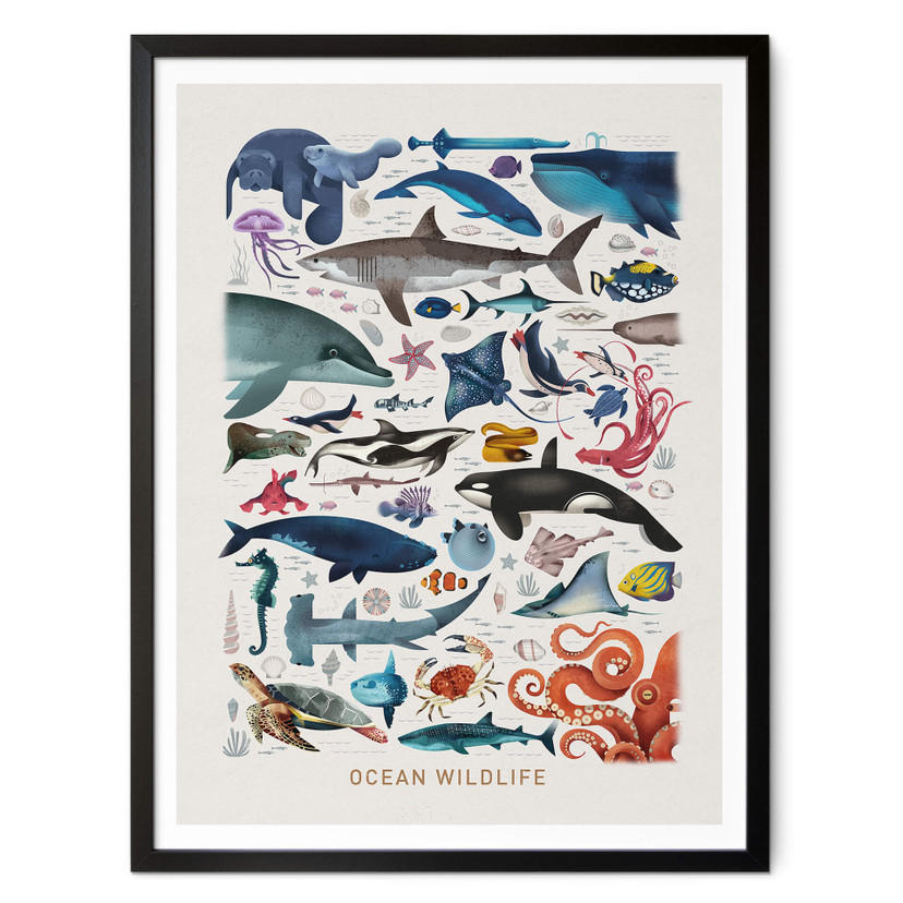Plakat Brown - Dzika przyroda oceanów