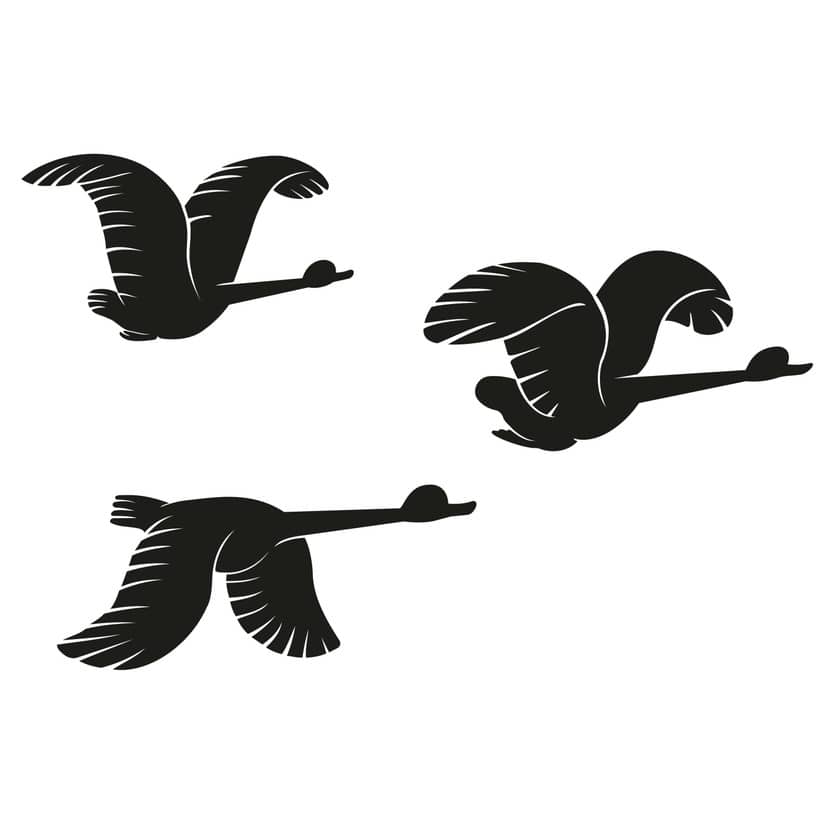 Wallsticker - Flyvende ænder