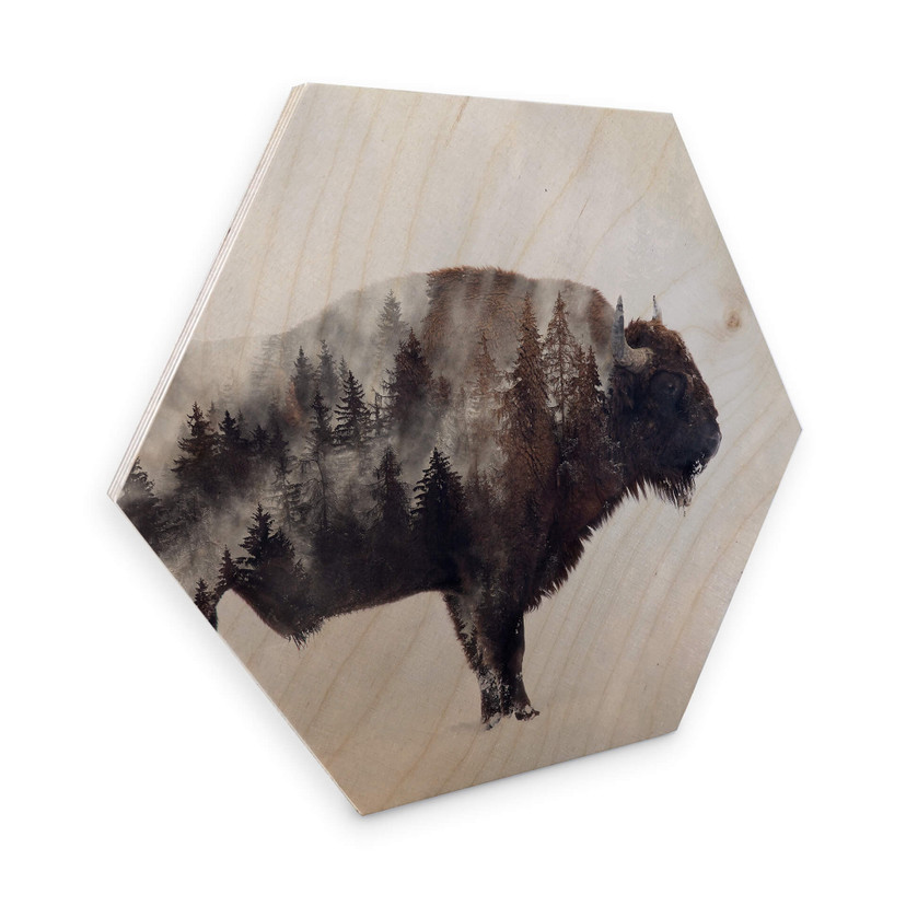 Hexagon Hout - Beáta - Bison