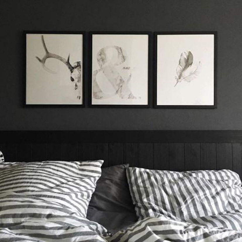 Affiche Plumes