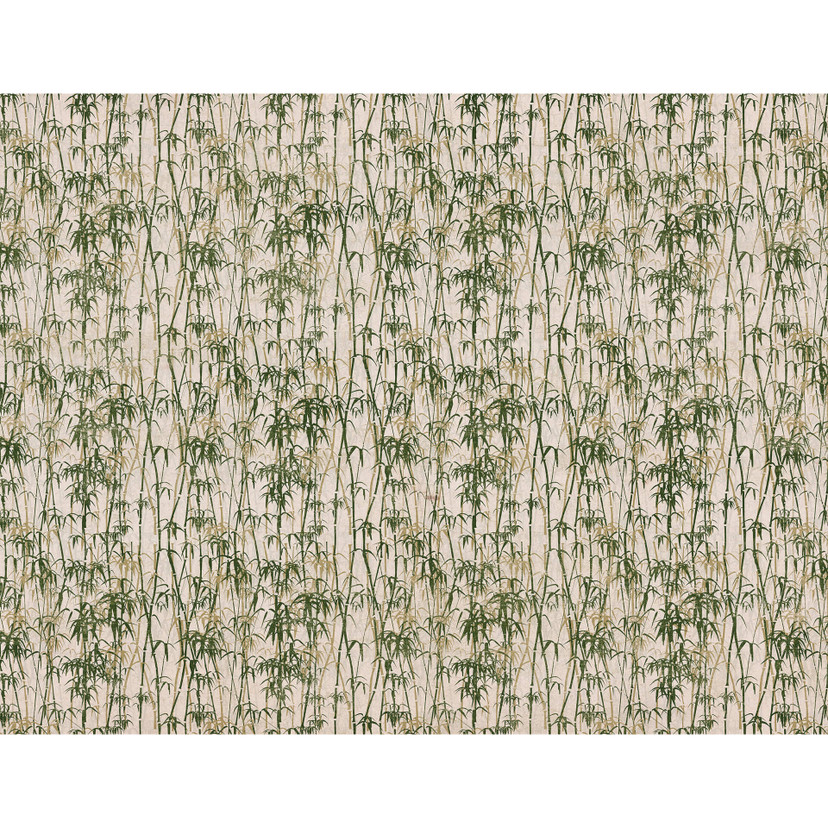 Papier peint photo - Bambus Grunge