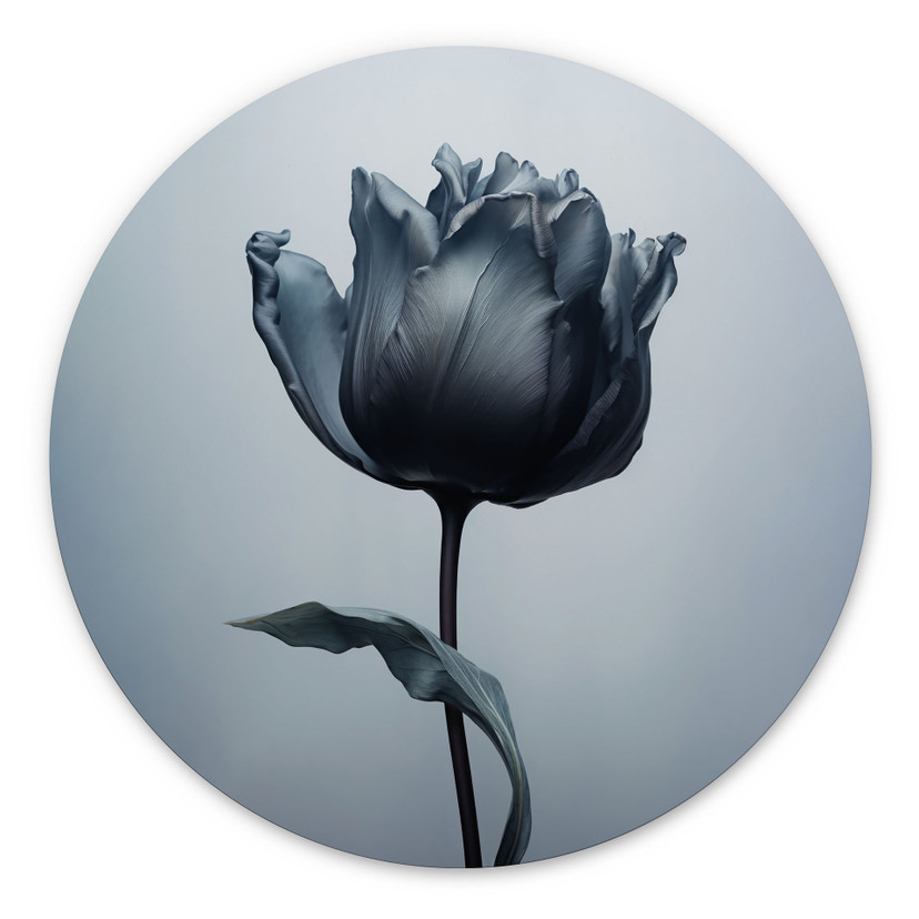 Wandbild Samtige Tulpe in Schwarz - Paksoylu - Alu-Dibond Rund
