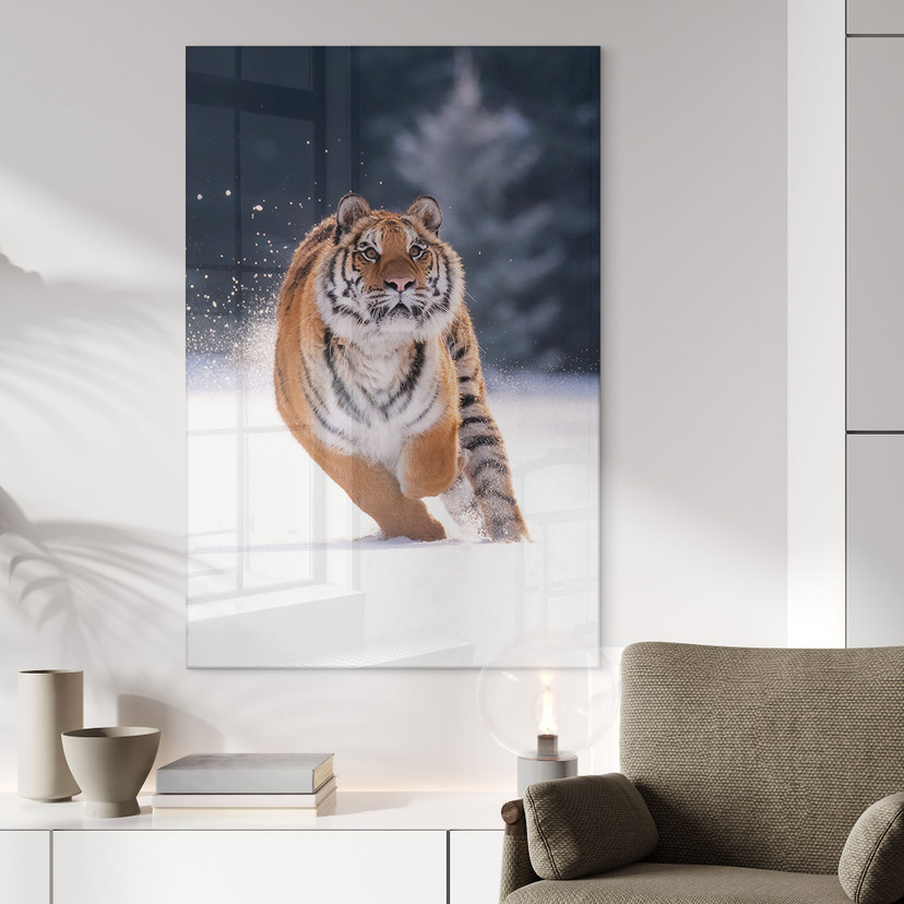 Acrylglasbild Sibirischer Tiger im Schnee - van Duijn