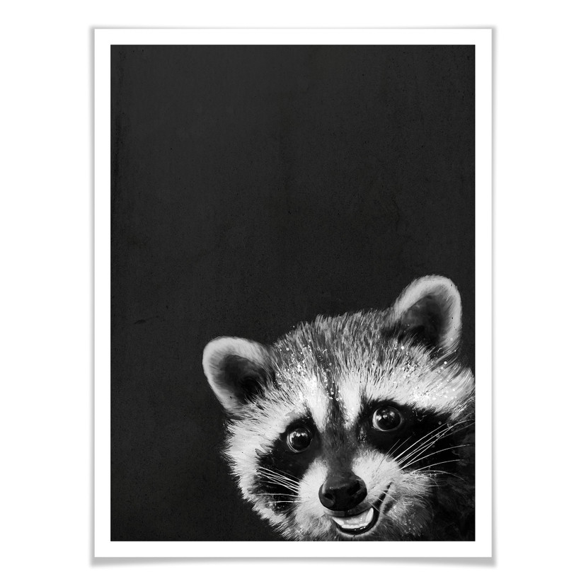 Plakat Graves - Racoon