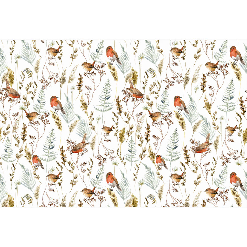 Fototapety z wróblami i rudzikami - Fototapety z ptakami - UN Designs