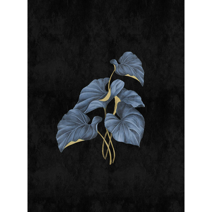 Fotomural Paredes de Patel 3 Fiji 1 negro, azul, amarillo