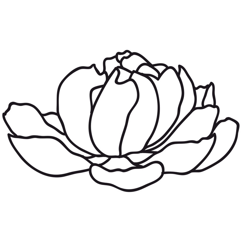 Sticker mural - Pivoine 01