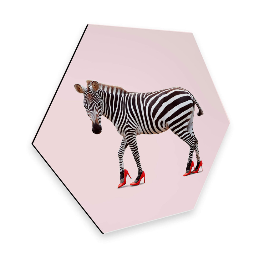 Hexagon Dibond Loose - Zebra Heels