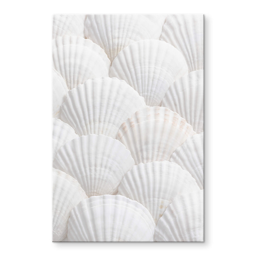 Akrylbillede 1X Studio - Shell ensemble