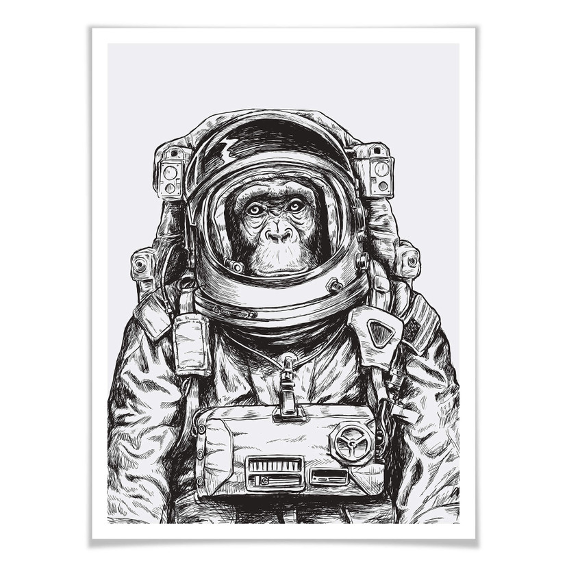Plakat Space Monkey