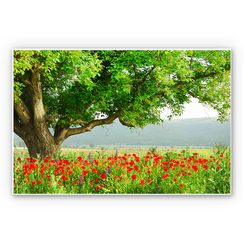 Tableau Forex - L'éveil de l'été