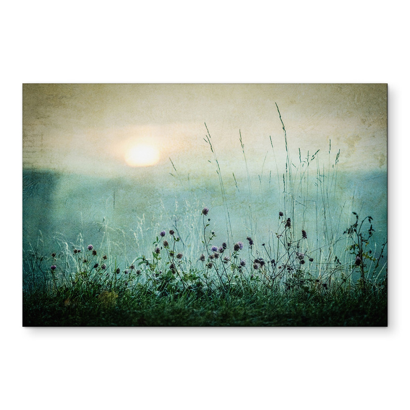 Wandbild Taubedeckter Sonnenaufgang - Kværnstrøm - Alu-Dibond