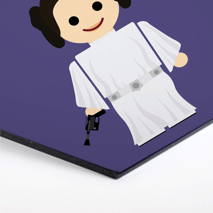Hexagon Alu-Dibond Gomes - Princess Leia