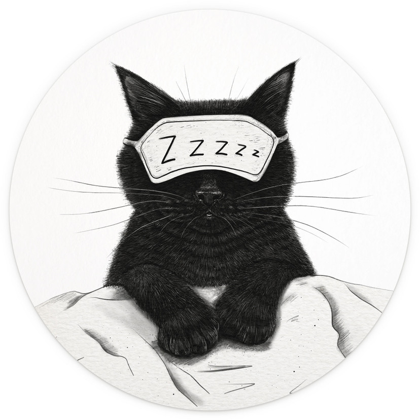Papier peint photo rond Chat noir avec masque de nuit - Korenkova