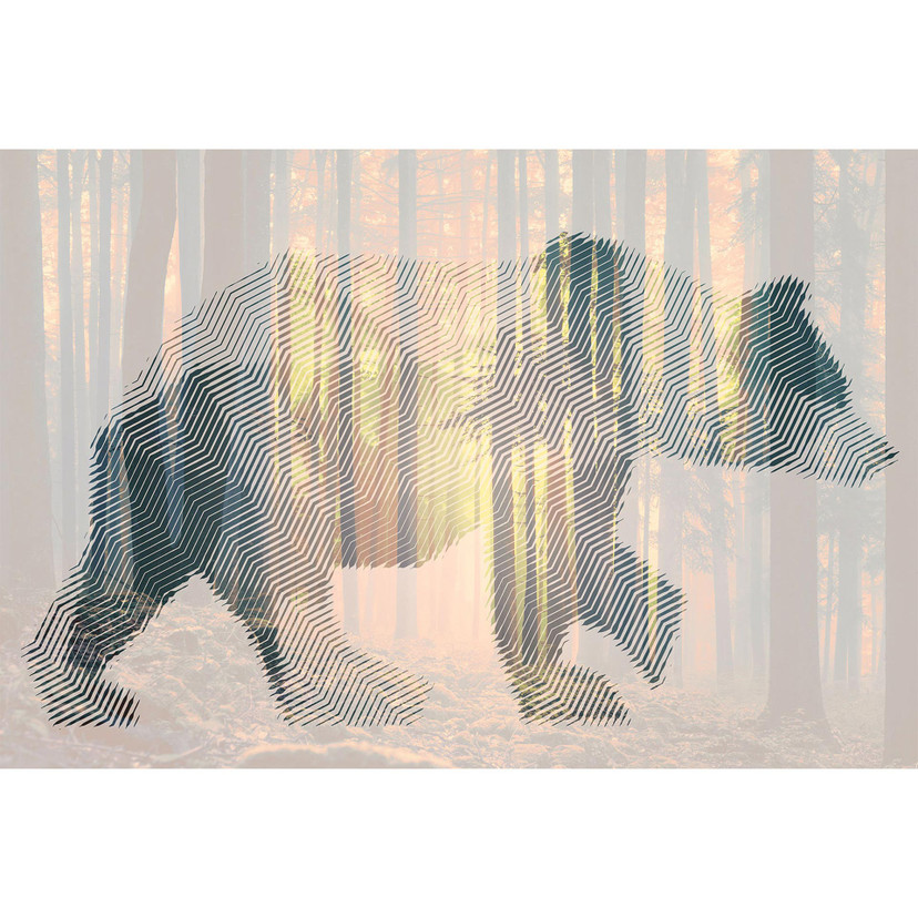 Architects Paper Papier peint photo Atelier 47 Bear Forest animal