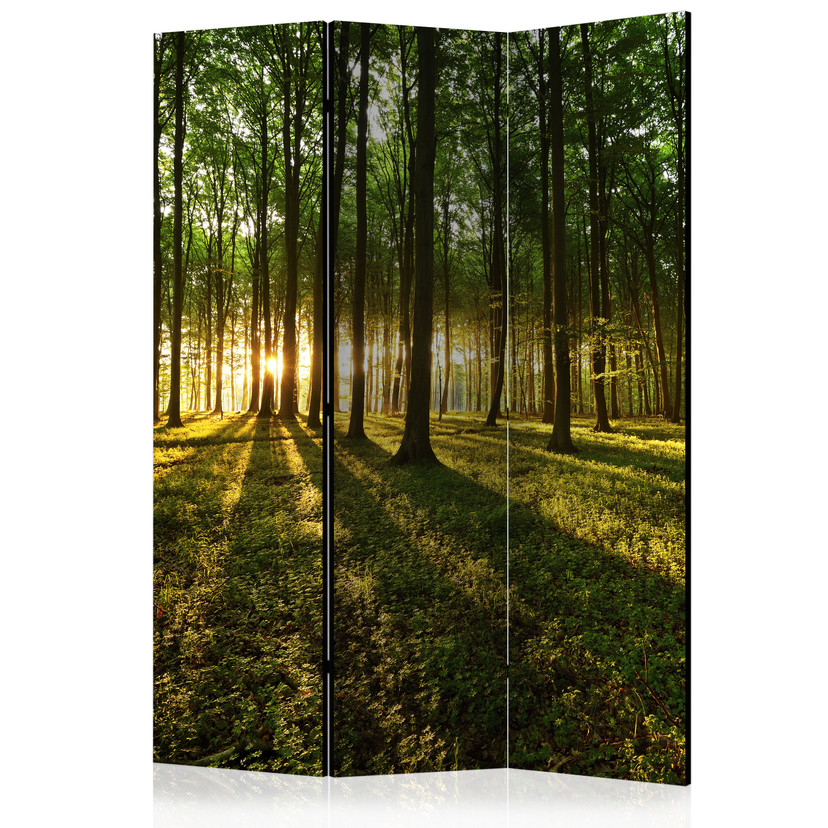 Screen room divider - Morgen i skoven, 3-delt
