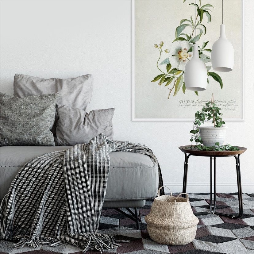 Wallprint W - Ehret - Zistrose