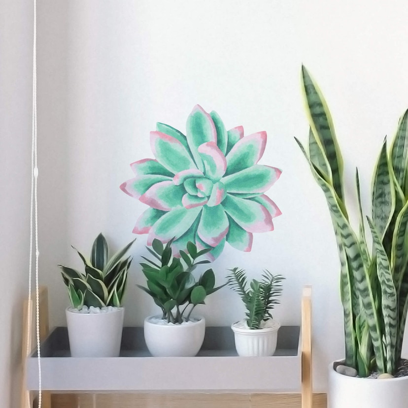 Muursticker Vetplant