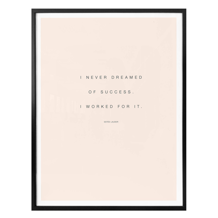 Poster - I never dreamed of Succes