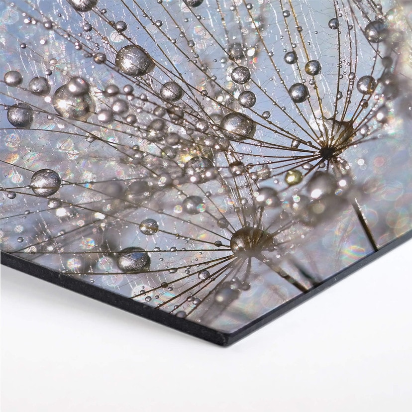 Hexagon - Alu-Dibond Delgado - Waterdrop Dandelion