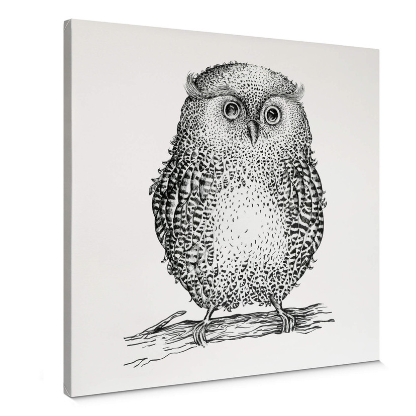 Canvas Kvilis - Owl 02