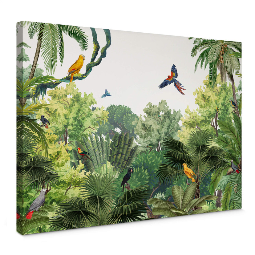 Leinwandbild Kikki Belle - Tropische Vögel