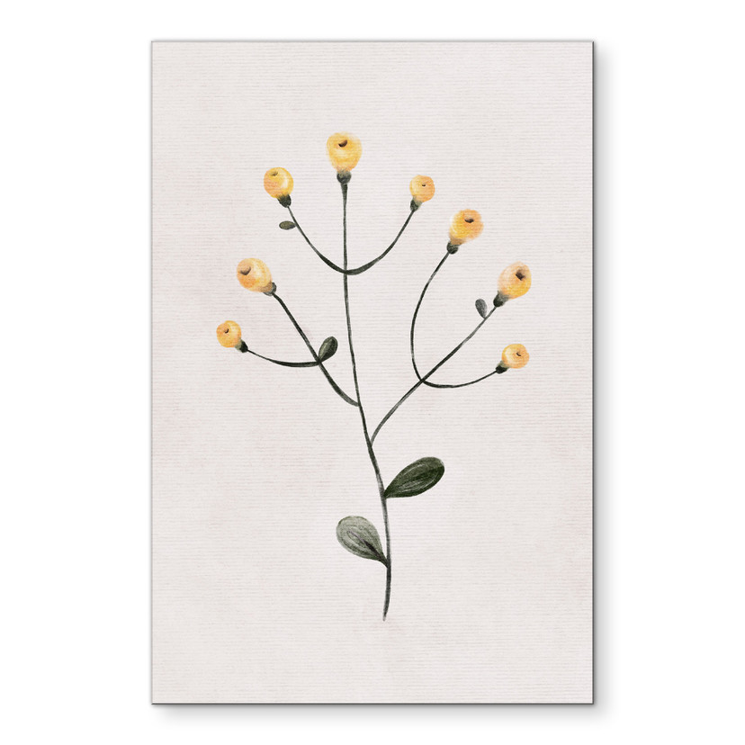 Tableaux Plante délicate avec fleurs jaunes - Goed Blauw - Alu-Dibond