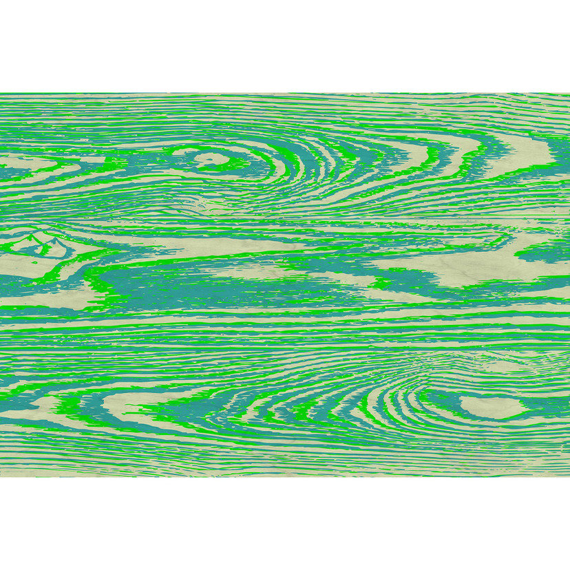 Fotomural Paredes de Patel 3 Bounty 1 verde