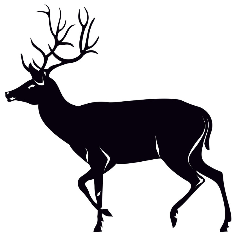 Wallsticker Rådyr 3
