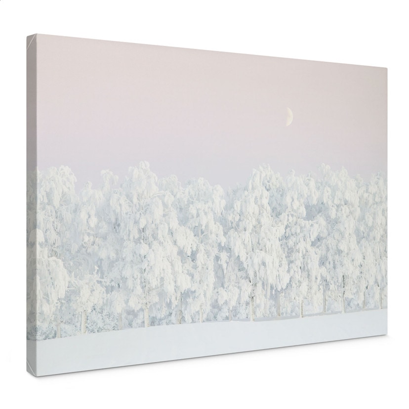 Tableau sur toile Forêt d'hiver enneigée avec lune - EMELIEmaria