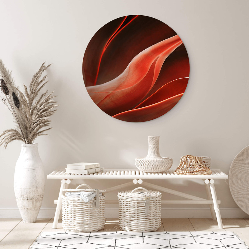 Tableau sur alu-Dibond rond Wechsler - plantes d'agave en automne