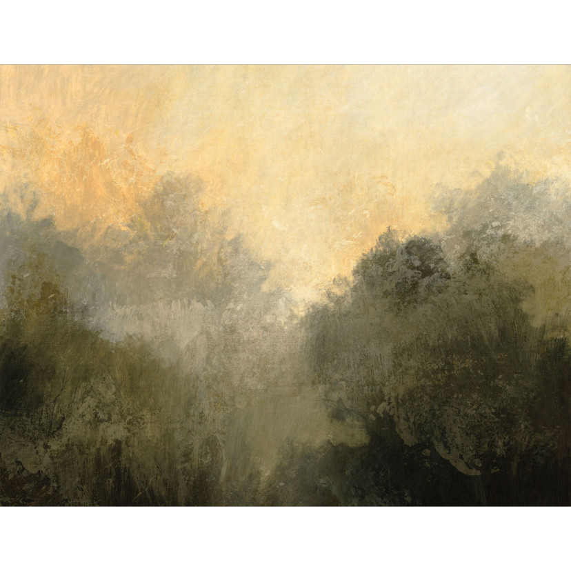 Papier peint photo Lumière cachée dans la brume matinale | Papier peint à motif d'arbres - Hobday