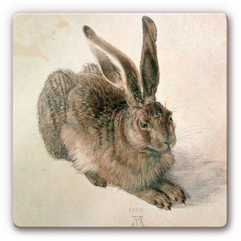 Tableau en verre - Dürer - Jeune lièvre