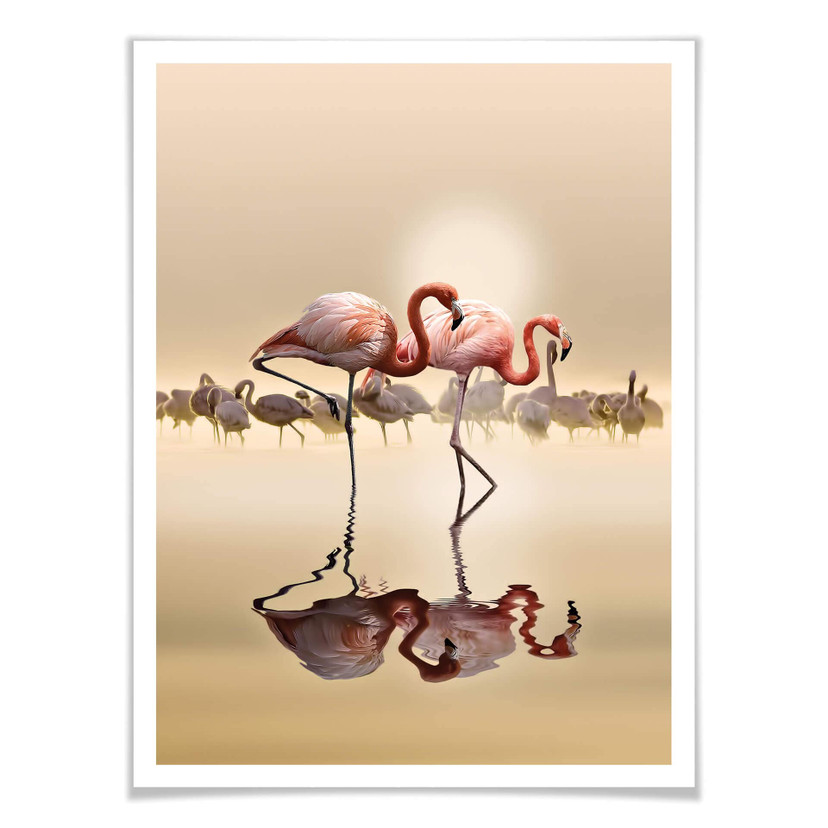 Plakat Osman - Flamingo