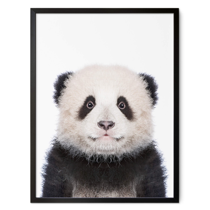 Plakat Sisi & Seb - Baby Panda