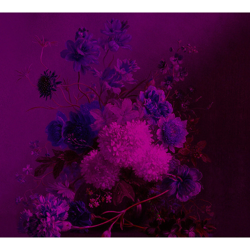 Fotomural Paredes de Patel bouquet vibrante 3