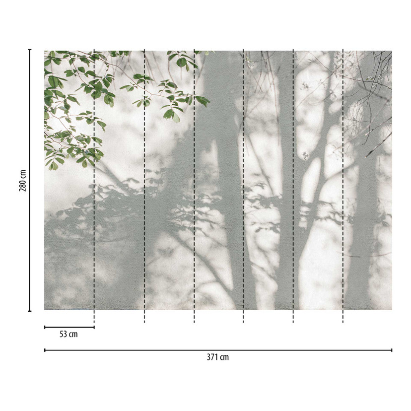 Forest shadow nature grey green - włókninowa fototapeta z efektem cienia - fototapeta natura