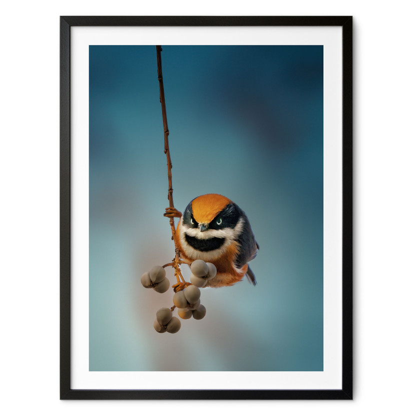 Poster Kleiner Vogel am Ast - Jacob Xu
