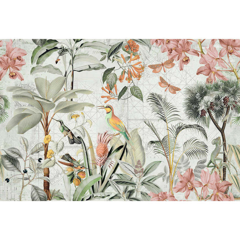 Livingwalls papier peint photo ARTist Tropical Paradise Oiseaux de la jungle et papillons crème