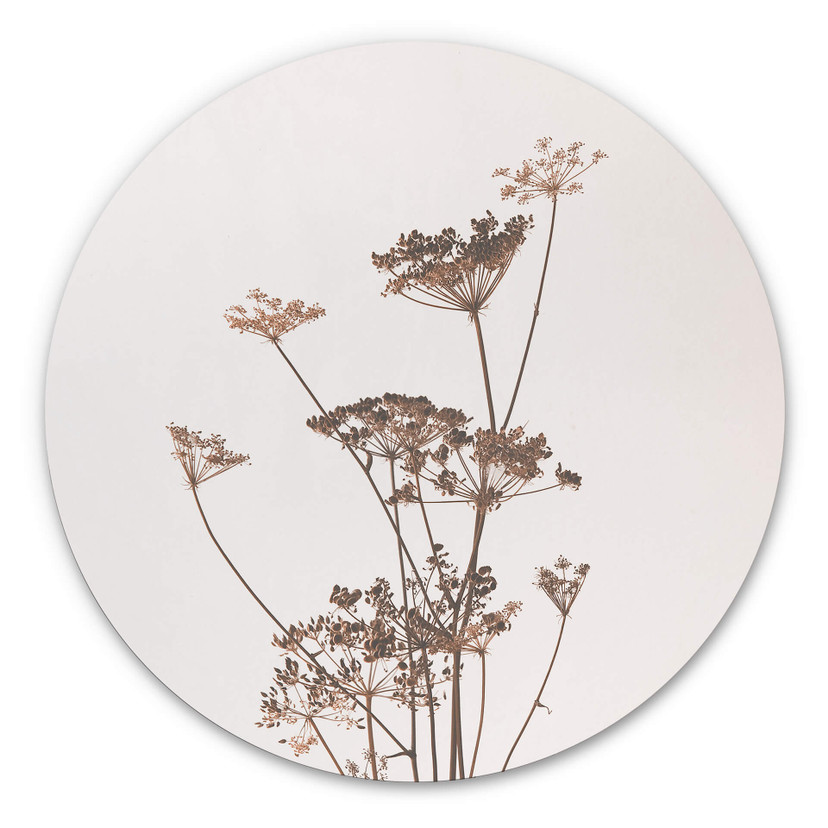 Tableau en alu-Dibond Herbes sauvages - Rond