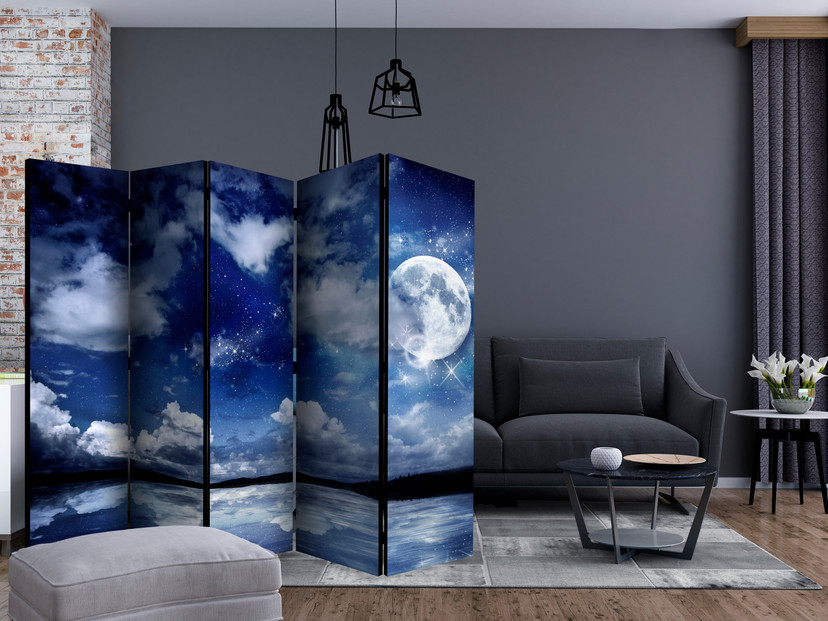 Paravent, Raumteiler freistehend, Trennwand - Magic Night II, 5-teilig - einseitig bedruckt - 225x17
