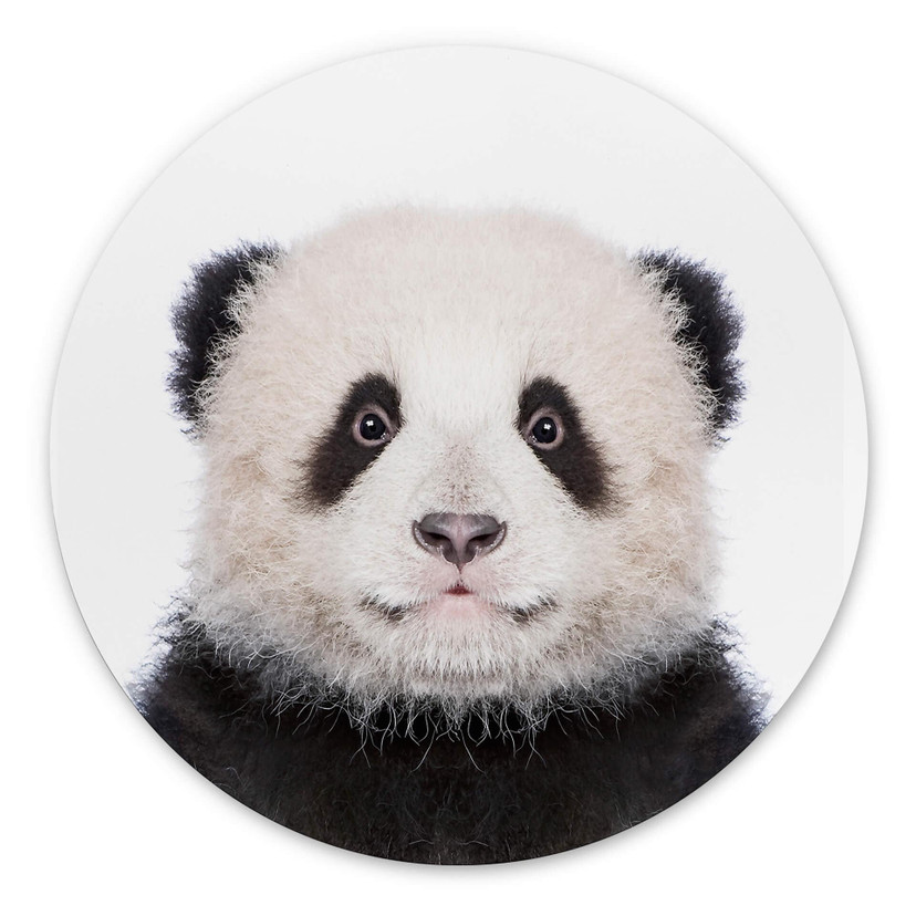 Tableau sur alu-Dibond rond Sisi & Seb - Baby Panda