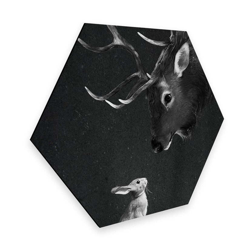 Hexagone -Alu Dibond Graves - Cerf et lapin