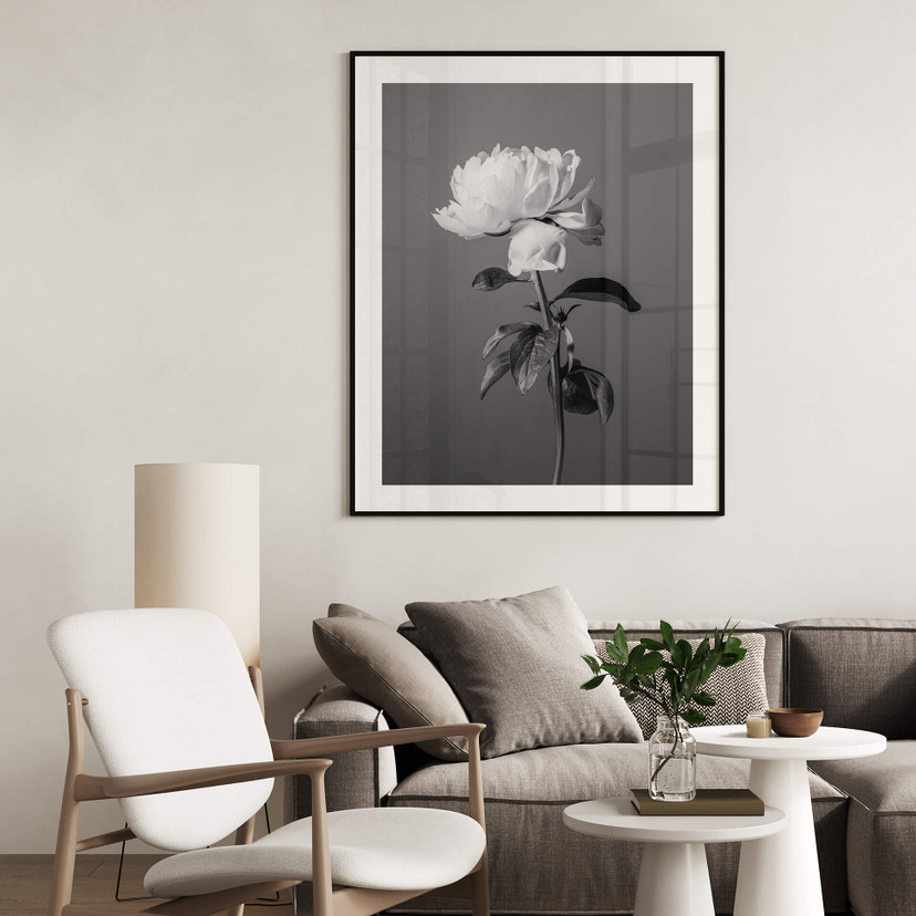Plakat 1X Studio - Piwonia czarno-biały