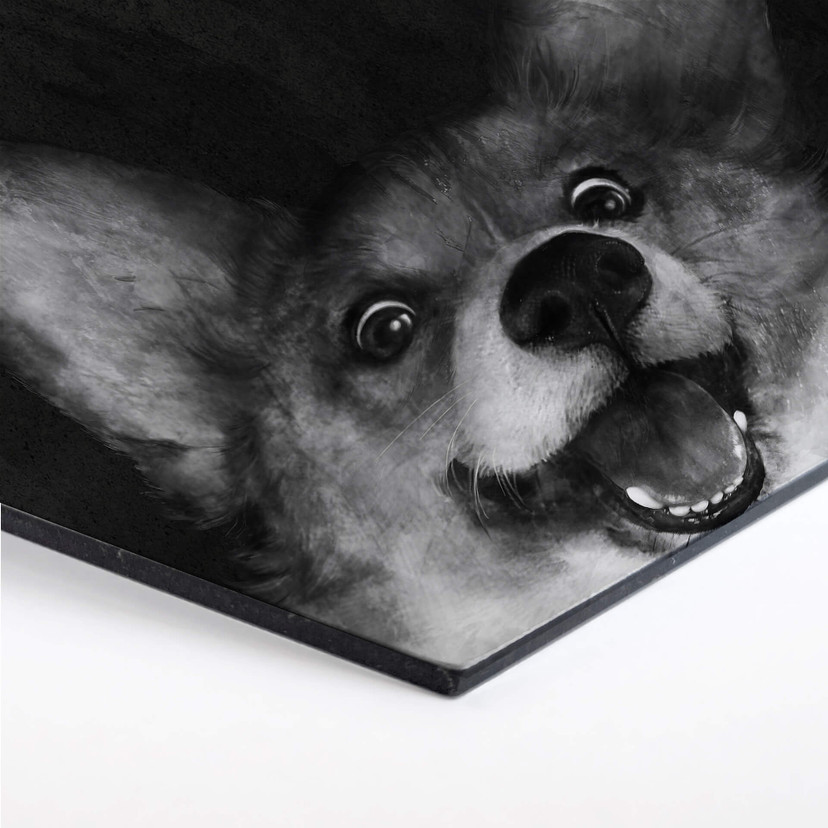 Hexagone - Alu-Dibond Graves - Sausage Fox Corgi