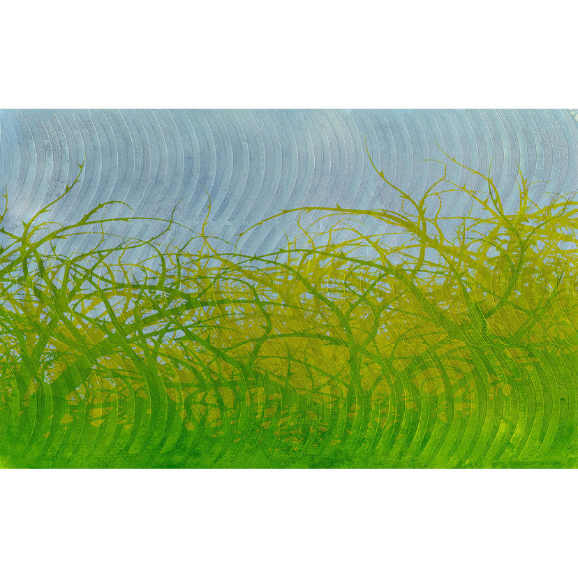 Architects Paper Papier peint photo Atelier 47 Thorn hedge graphisme