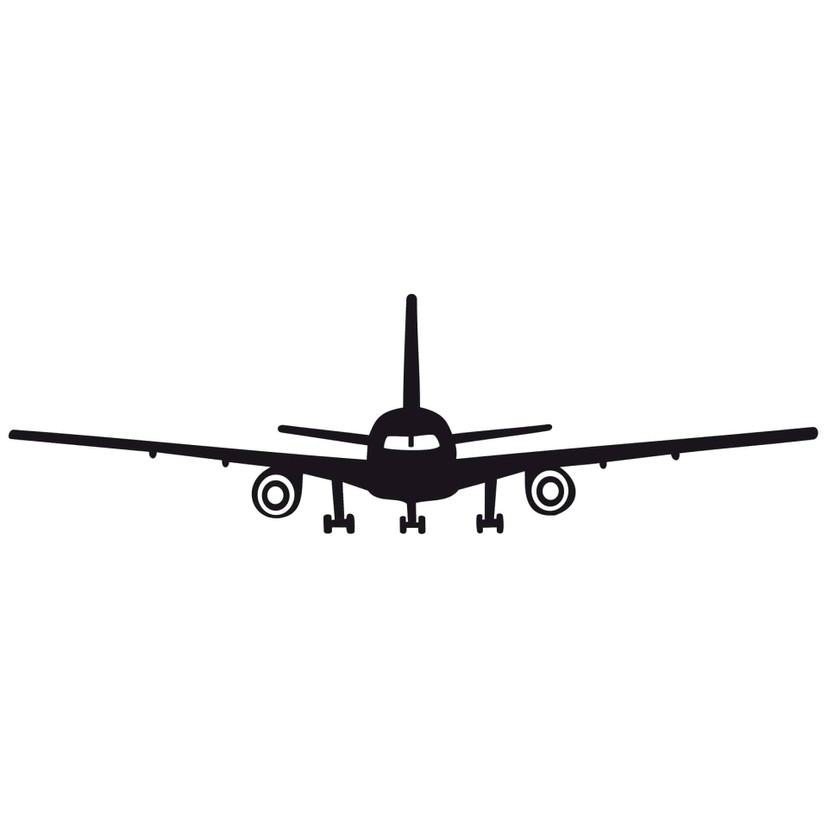 Wallsticker Fly