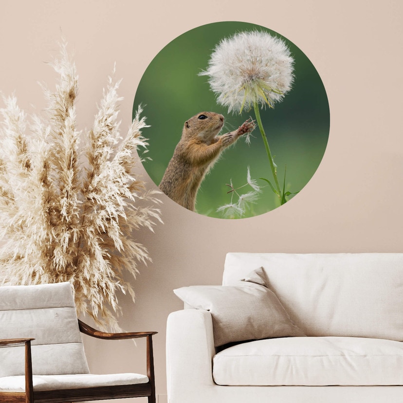 Muursticker Rond Dick van Duijn - Eekhoorn met Paardenbloem