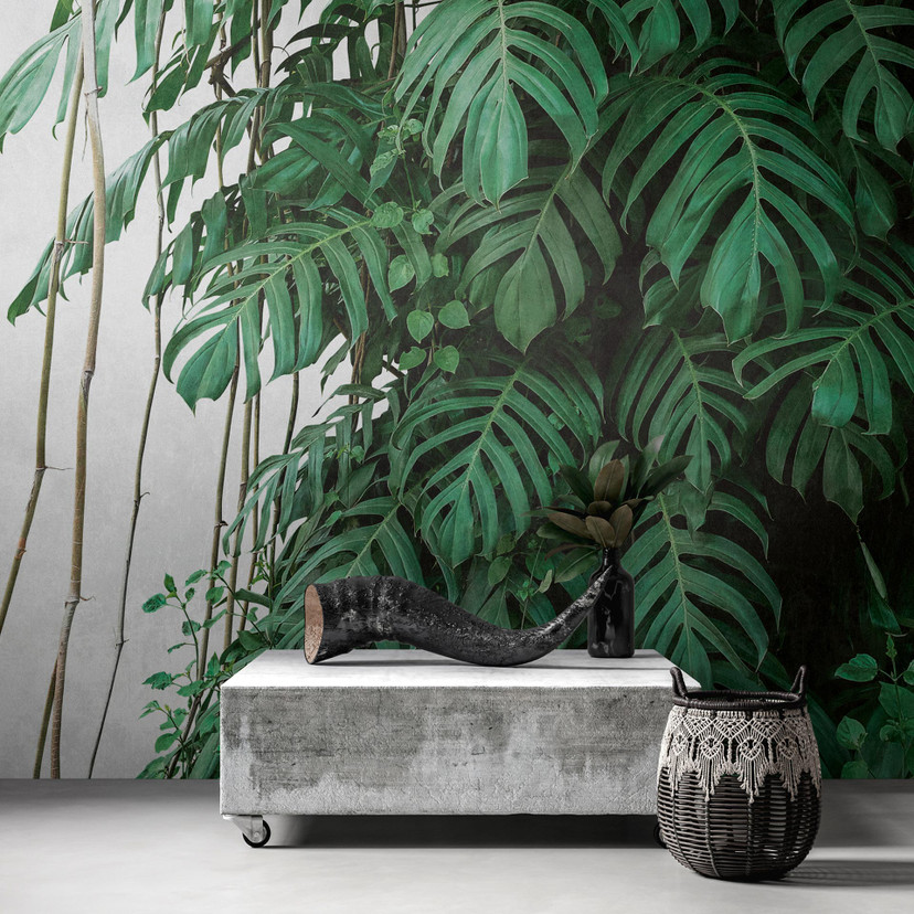Livingwalls storbyhistorier THE WALL monstera tapet