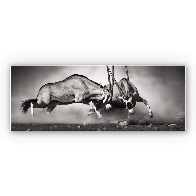 Tableau Forex - Le duel - Panorama